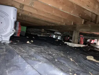 Water Extraction - Crawlspace