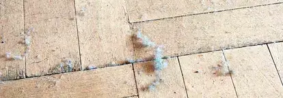 debris removal