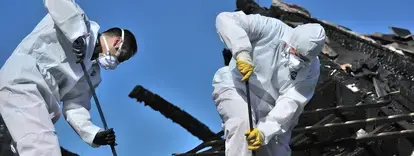 Fire Clean Up 