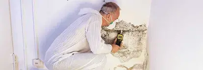 tech cleaning mold
